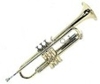 files/musikkapelle/Bilder/Instrumente/Trompete.jpg